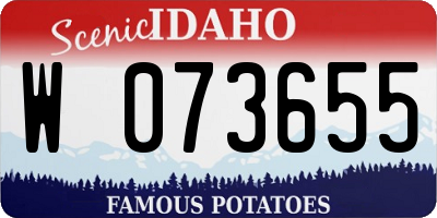 ID license plate W073655