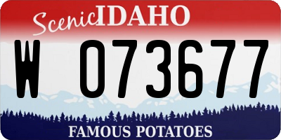 ID license plate W073677
