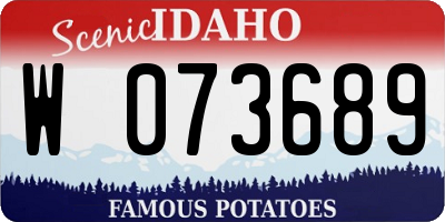 ID license plate W073689