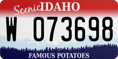 ID license plate W073698