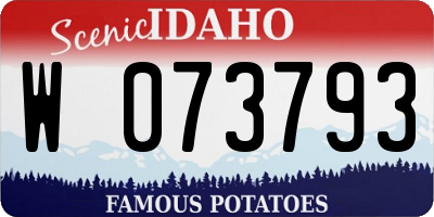ID license plate W073793