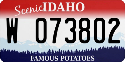 ID license plate W073802