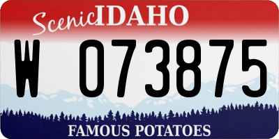 ID license plate W073875