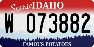 ID license plate W073882
