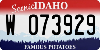 ID license plate W073929