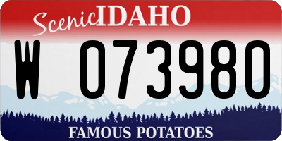 ID license plate W073980