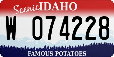 ID license plate W074228