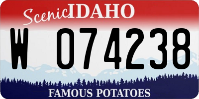ID license plate W074238