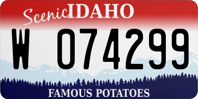 ID license plate W074299