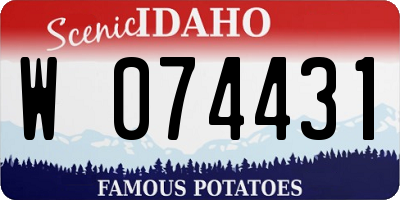 ID license plate W074431