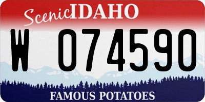 ID license plate W074590