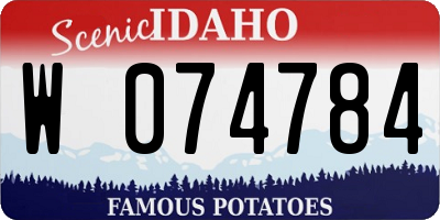 ID license plate W074784