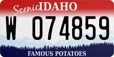 ID license plate W074859