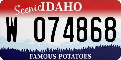 ID license plate W074868