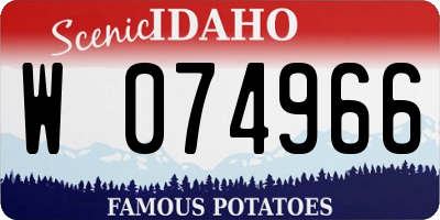 ID license plate W074966