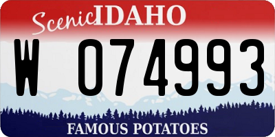 ID license plate W074993
