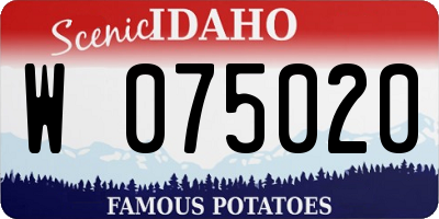 ID license plate W075020