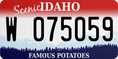 ID license plate W075059