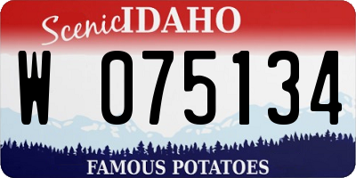 ID license plate W075134