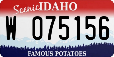 ID license plate W075156