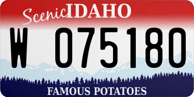 ID license plate W075180