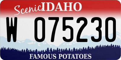 ID license plate W075230