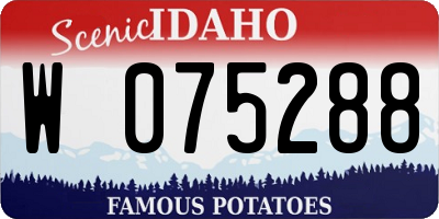 ID license plate W075288