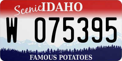 ID license plate W075395