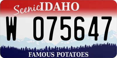 ID license plate W075647