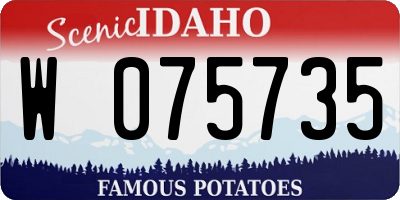 ID license plate W075735