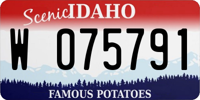 ID license plate W075791
