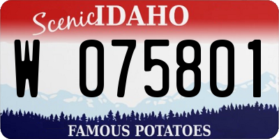 ID license plate W075801