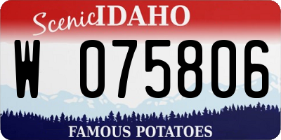 ID license plate W075806