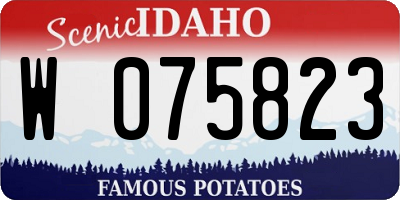 ID license plate W075823