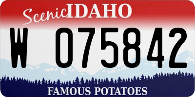 ID license plate W075842