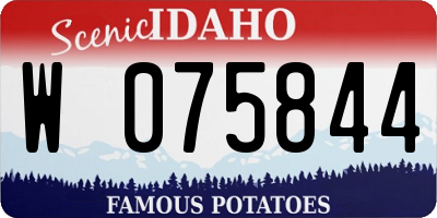 ID license plate W075844