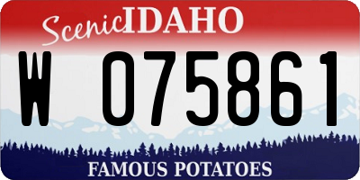 ID license plate W075861