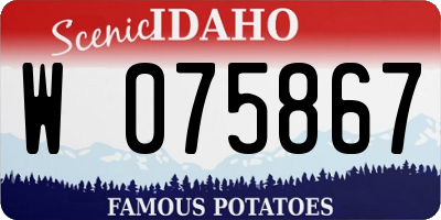 ID license plate W075867