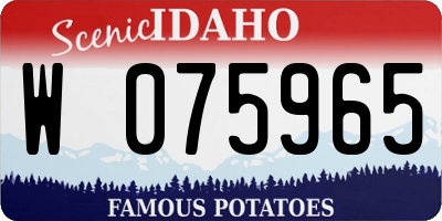 ID license plate W075965
