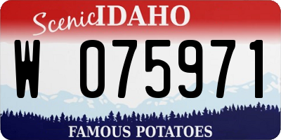 ID license plate W075971
