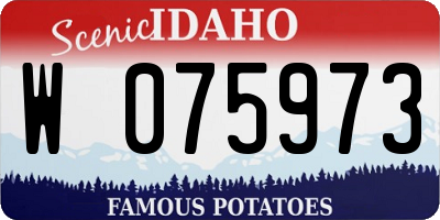 ID license plate W075973
