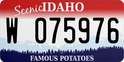ID license plate W075976