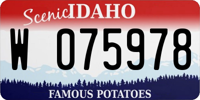 ID license plate W075978
