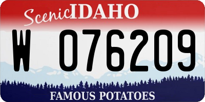 ID license plate W076209