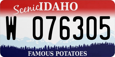 ID license plate W076305