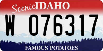ID license plate W076317