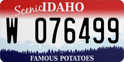 ID license plate W076499