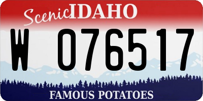 ID license plate W076517