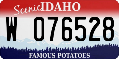 ID license plate W076528