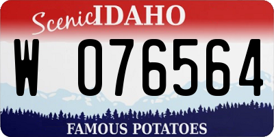 ID license plate W076564